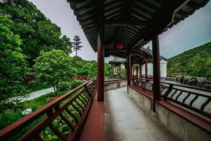 青春礼记