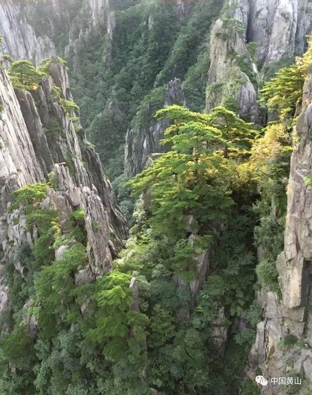 做油条加什么最酥脆？游戏画面