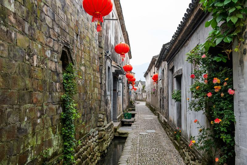 “心系家乡发展,助推乡村振兴”实践小分队———农村污水处理