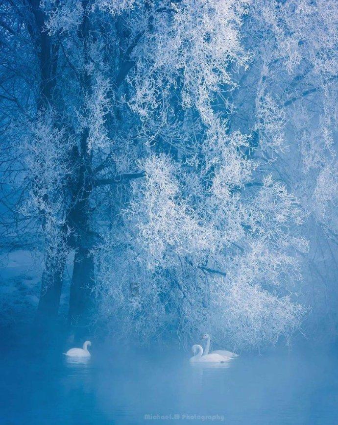 幻想纹章2.1